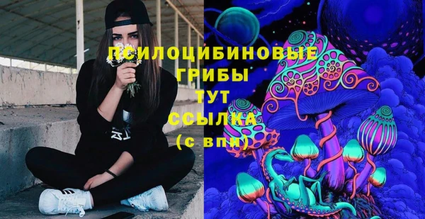 jwh Абаза