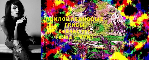 jwh Абаза