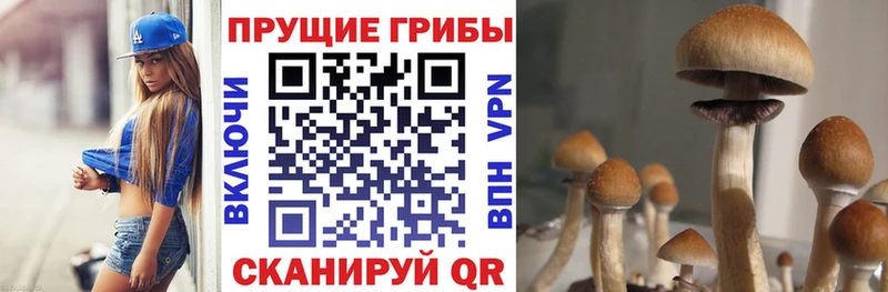 Псилоцибиновые грибы Cubensis Вилючинск
