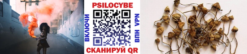 Псилоцибиновые грибы Psilocybine cubensis  Вилючинск 